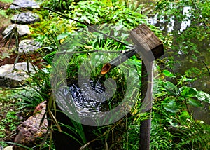 An ancient tsukubai stone water basin