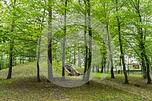 Ancient tumulus on a display for visitors.