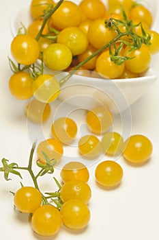 Ancient variety of wild yellow tomato