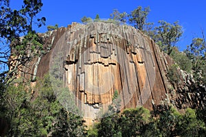 The Ancient Volcanic Rock Organ Piping Formation known as Sawn Rocks, NSW, Australia.