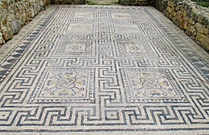 Ancient Volubilis town mosaic on the floor