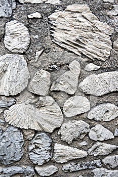 Ancient walls made from sea coral