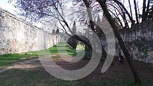 Ancient Walls of Verona photo