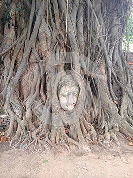 Ancient wat thailand