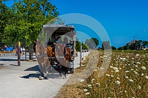 an ancient way of travelling by horse-drawn carriage, Mont-Saint-Michel and horse-drawn carriage