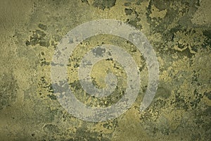 Ancient weathered green wall with pattern of moss