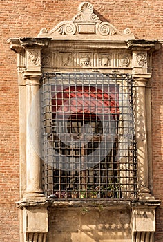 Ancient window with metal grate in Bologna Italy - Accursio Palace photo