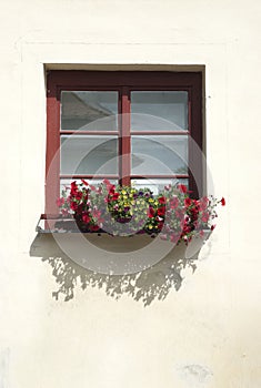 The ancient window w flowers