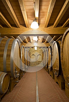 The ancient wine cellar