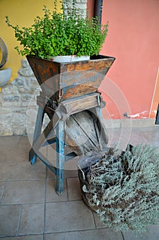 Ancient winepress restructured as flower pot holders photo