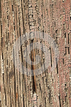 Ancient Wood Pillar Texture