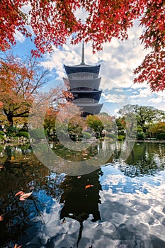 Ancient wood Toji temple reflection pond in maple leaves garden