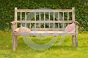 Ancient wooden bench in a garden with two straw hats