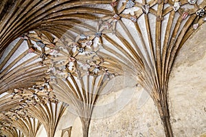 Ancient wooden ceiling strurcture