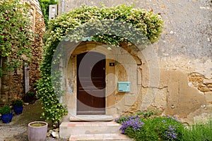 Ancient wooden entrance doors with rustic metal nails, surrounded by plants, Provence, France