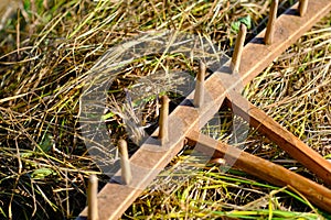 Ancient wooden rake lying on hay somewhere in countryside