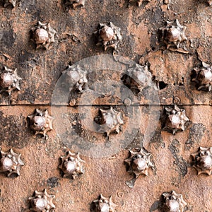 Ancient wooden spiked door detail i