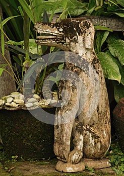 Ancient wooden statue of a dog guarding a Balinese house