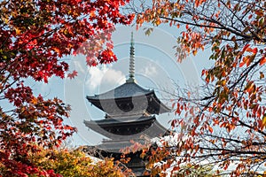 Ancient wooden Toji temple of Unesco world heritage site in Maple leaves