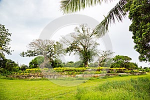 An ancient ziggurat Langi - Royal burial tomb - near Lapaha, megalith in Mu`a, east of Tongatapu island, Tonga, Polynesia, Oceania