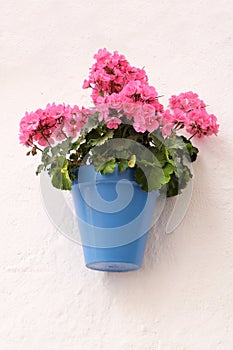 Andalucia Spain traditional whitewashed village geranium pelargonium flower pot wall display