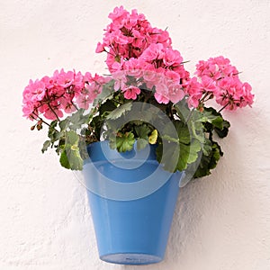 Andalucia Spain traditional whitewashed village geranium pelargonium flower pot wall display