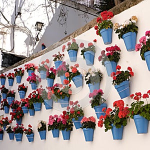 Andalucia Spain whitewashed village flower pot display white wall