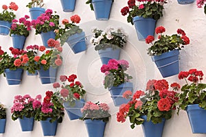 Andalucia Spain whitewashed village flower pot wall display