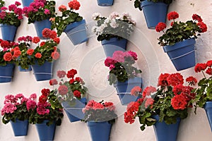 Andalucia Spain whitewashed village flower pot white wall display