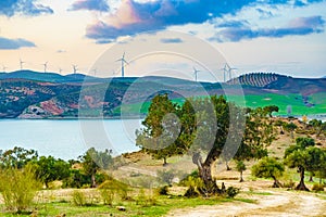 Andalucia with wind turbines on hill, Spain