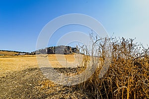 Andalucian Landscape - Ronda - Spain