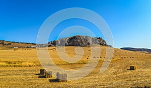 Andalucian Landscape - Ronda - Spain