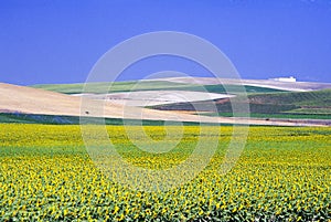 Andalusia landscape photo