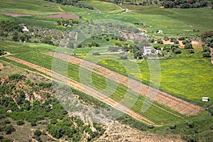 Andalusia landscape, countryside road and rock in Ronda, Spain