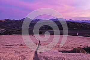 Andalusia panorama at sunset