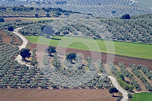 Andalusian agricultural landscape along the `Ruta de los Cortijos` in Domingo PÃÂ©rez Spain photo