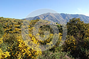 Andalusian countryside, Spain. photo