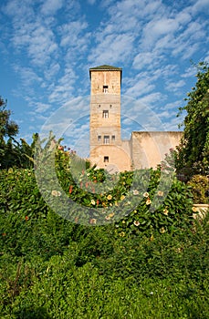 Andalusian gardens in Udayas kasbah. Rabat. Morocco.