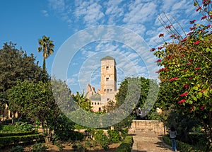 Andalusian gardens in Udayas kasbah. Rabat. Morocco. photo