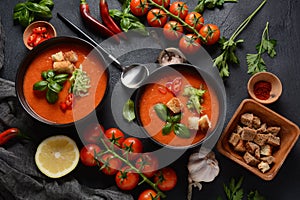 Andalusian gazpacho. Red tomato cold gazpacho soup