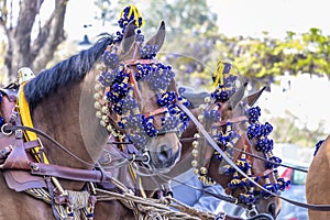 Andalusian horses at the April Fair, Seville Fair Feria de Sevilla, Andalusia, Spain