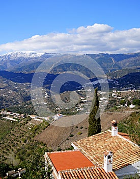 Andalusian Landscape photo