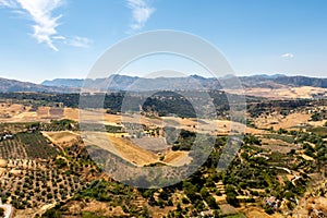 Andalusian landscape view of fields and Spanish vineyards near Ronda, Spain, during sunny summer day, mountains in the background