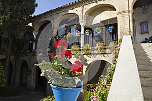 Andalusian Patio