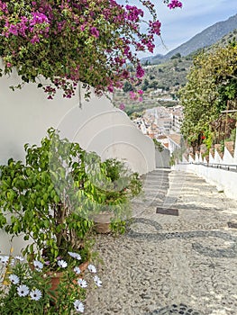 Andalusian, small town in southern Spain, Frigiliana photo