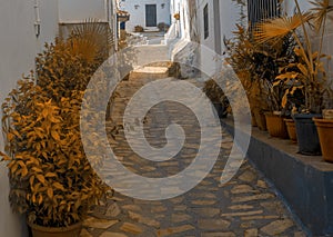 Andalusian village in the coast