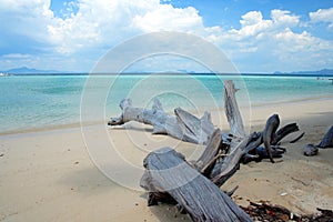 Andaman Beach II photo
