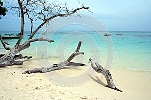 Andaman Beach XIX photo