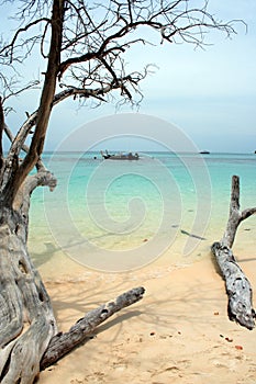 Andaman Beach XVIII photo