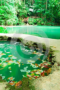 Andaman Thailand outdoor photography of waterfall in rain jungle forest. Trees, PHUKET,